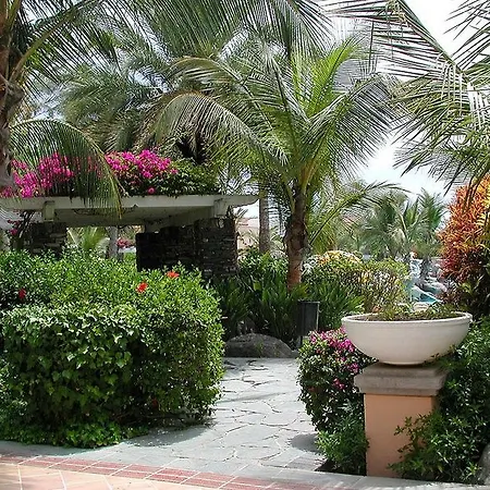 Hotell Palm Oasis 3*