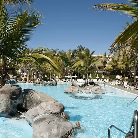 Palm Oasis