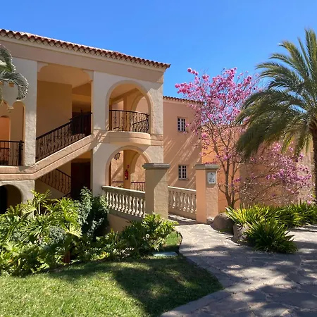 Palm Oasis